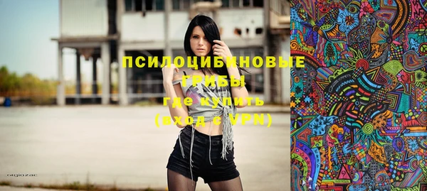 apvp Балахна