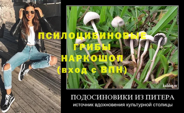apvp Балахна